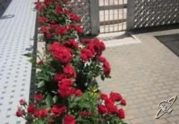 Jalisco 3*